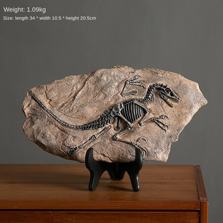 “Jurassic Relic” Dinosaur Fossil Display