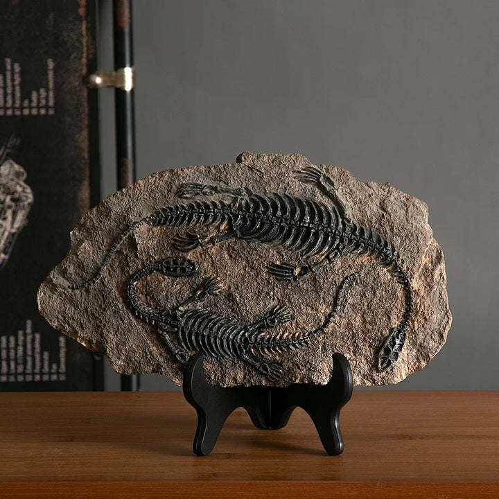“Jurassic Relic” Dinosaur Fossil Display