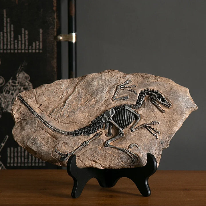 “Jurassic Relic” Dinosaur Fossil Display