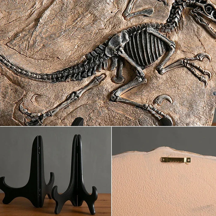 “Jurassic Relic” Dinosaur Fossil Display