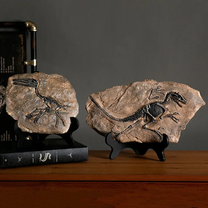 “Jurassic Relic” Dinosaur Fossil Display