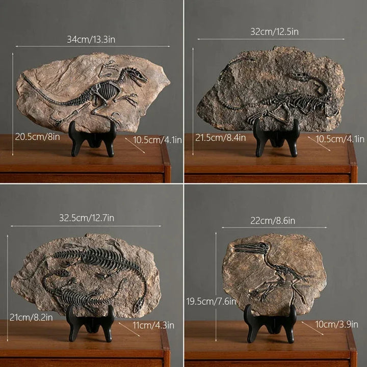 “Jurassic Relic” Dinosaur Fossil Display